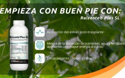 ¡Empieza con buen pie con el nuevo, Raizante® Plus SL!