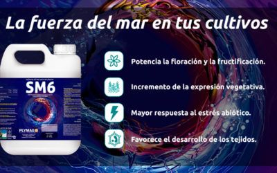 SM6®, la fuerza del mar en tus cultivos