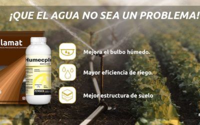 ¡Que el agua no sea un problema! Descubre Salamat® y Humecplus®