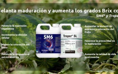 ¡Adelanta y mejora la maduración de tus cultivos con Troper® y SM6®!