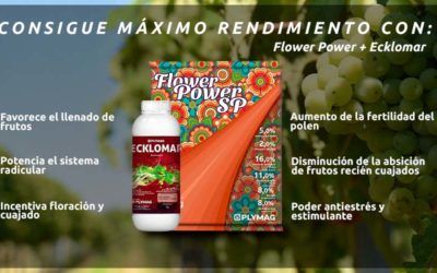 ¡Máximo rendimiento! Consíguelo con Flower Power® SP y Ecklomar®